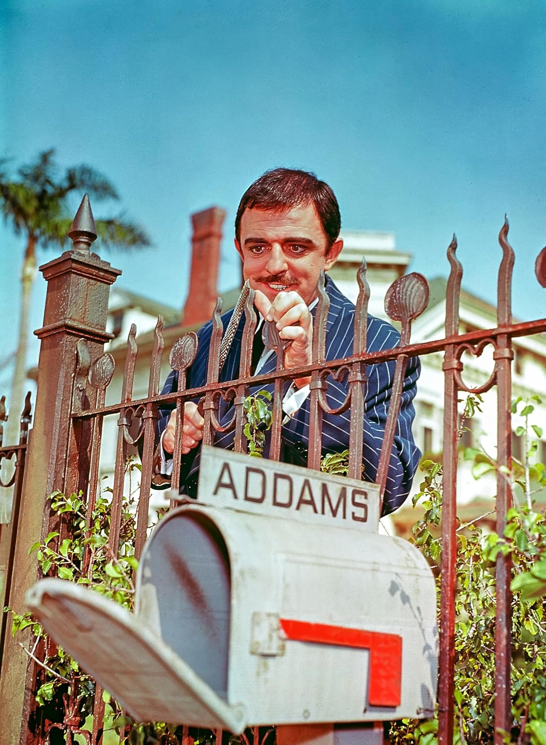 ADDAMS FAMILY - ADDAMS FAMILY - DIE KOMPLETTE SERIE - DIGIPAKS MIT SCHUBER