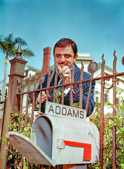 ADDAMS FAMILY - ADDAMS FAMILY - DIE KOMPLETTE SERIE