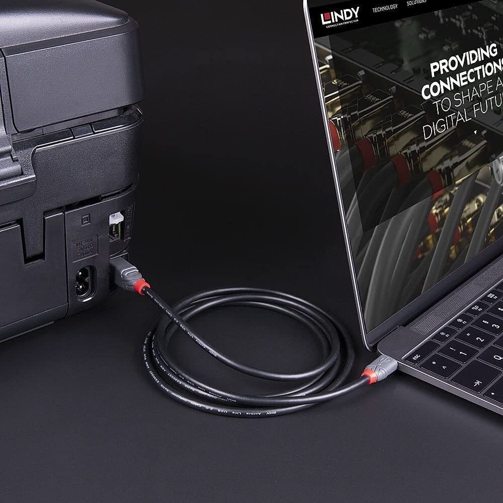 LINDY 2m USB 3.1 Cable, USB-C Male to USB-B 3.0 Male Type B, for MacBook Pro/Air, External Hard Drive, Scanner, Printer, Docking Station