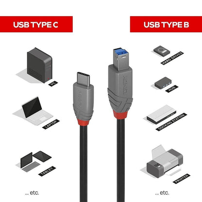 LINDY 2m USB 3.1 Cable, USB-C Male to USB-B 3.0 Male Type B, for MacBook Pro/Air, External Hard Drive, Scanner, Printer, Docking Station