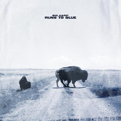 Runs to Blue
