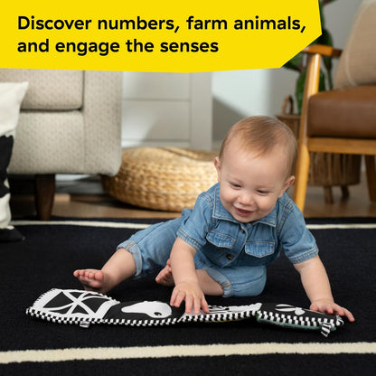 Baby Einstein Farm Explorers Counting at The Farm - Libro de Actividades Suave, multisensorial, para el Tiempo Boca Abajo, a Partir de 0 Meses