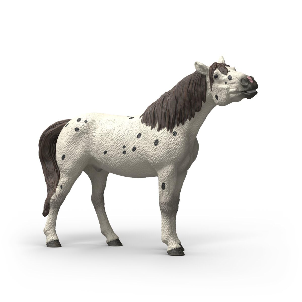 schleich HORSE CLUB | Knabstrupper Ruin 14916
