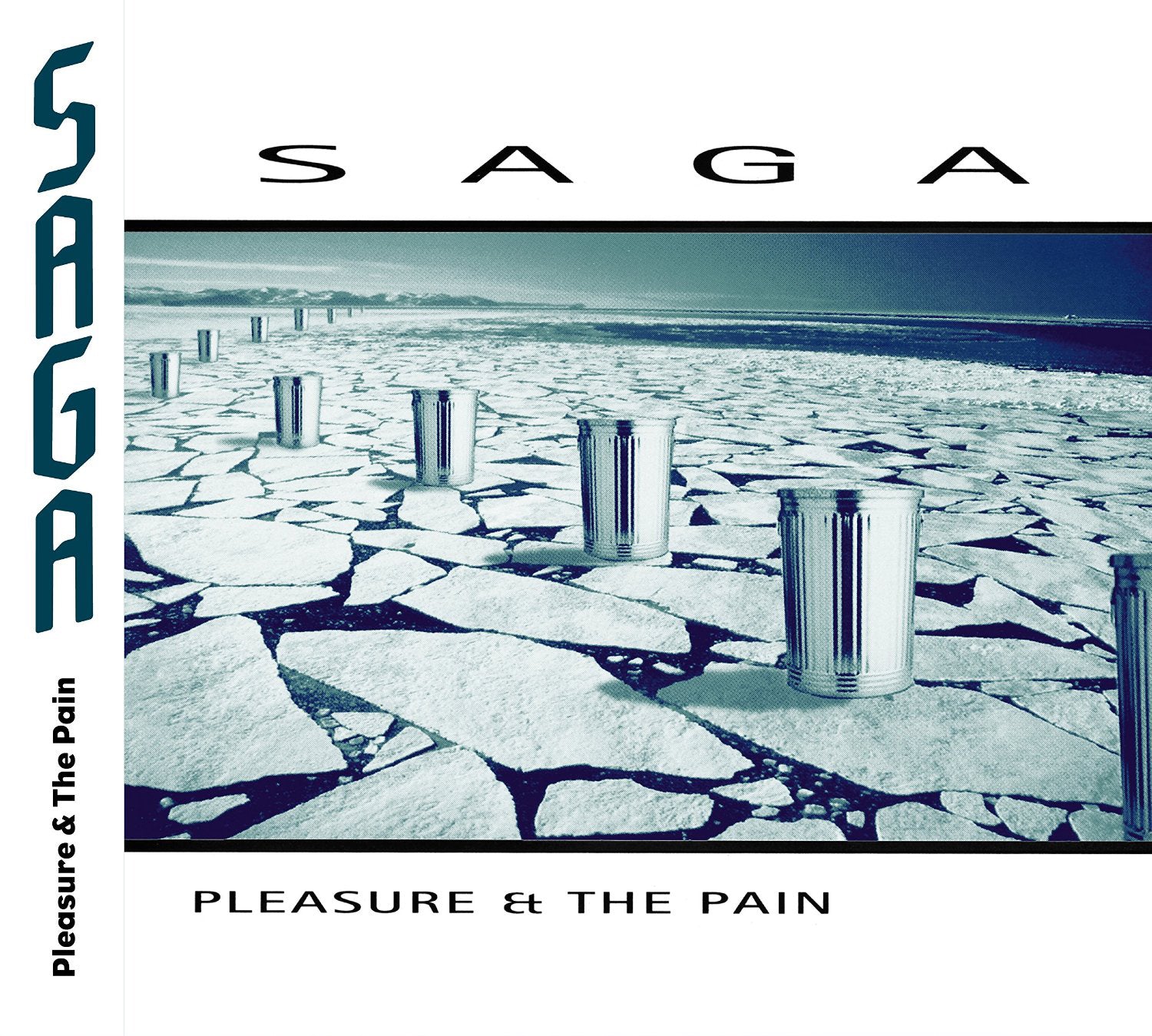 Pleasure and the Pain