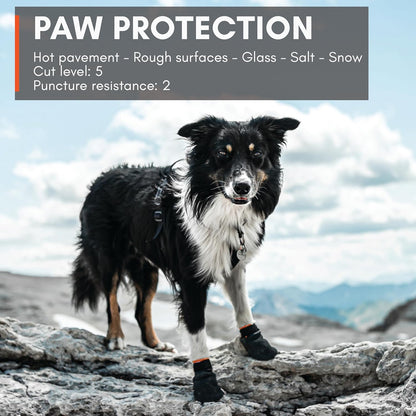 Non-Stop Dogwear Protector Booties (4pk) (Black/Orange) /Merch (FN)