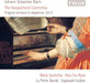 Johann Sebastian Bach: The Harpsichord Concertos, Vol. 2