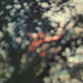 Obscured By Clouds: Music from La Vallée