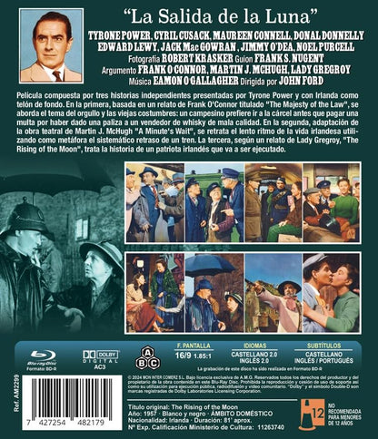 Storie irlandesi / The Rising of the Moon  (Blu-Ray