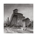 Georgia (Purple