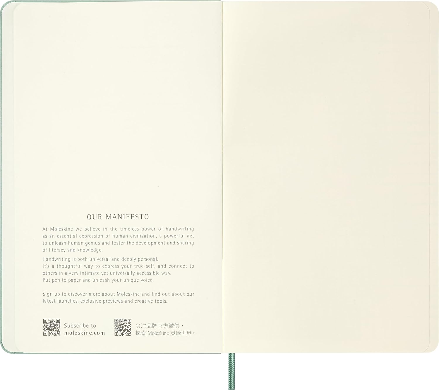 Moleskine Classic Notebook - Blank Pages with Hard Cover and Elastic Closure, Sage Green Color, Large Size 13 x 21 cm