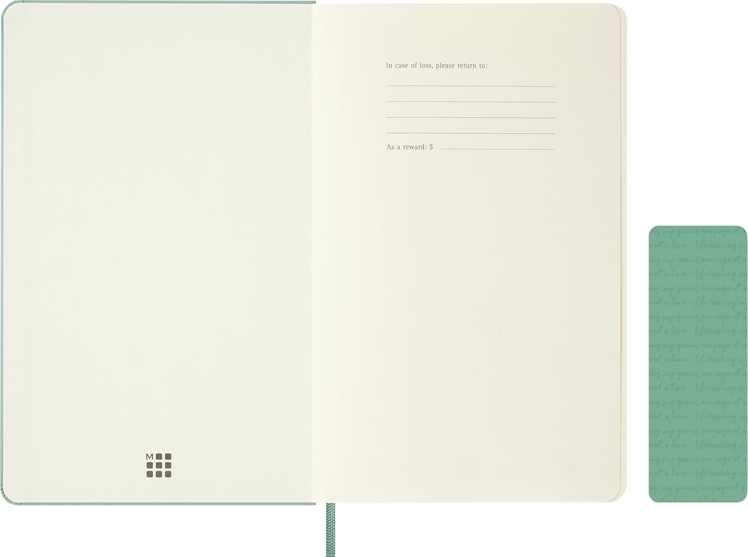 Moleskine Classic Notebook - Blank Pages with Hard Cover and Elastic Closure, Sage Green Color, Large Size 13 x 21 cm