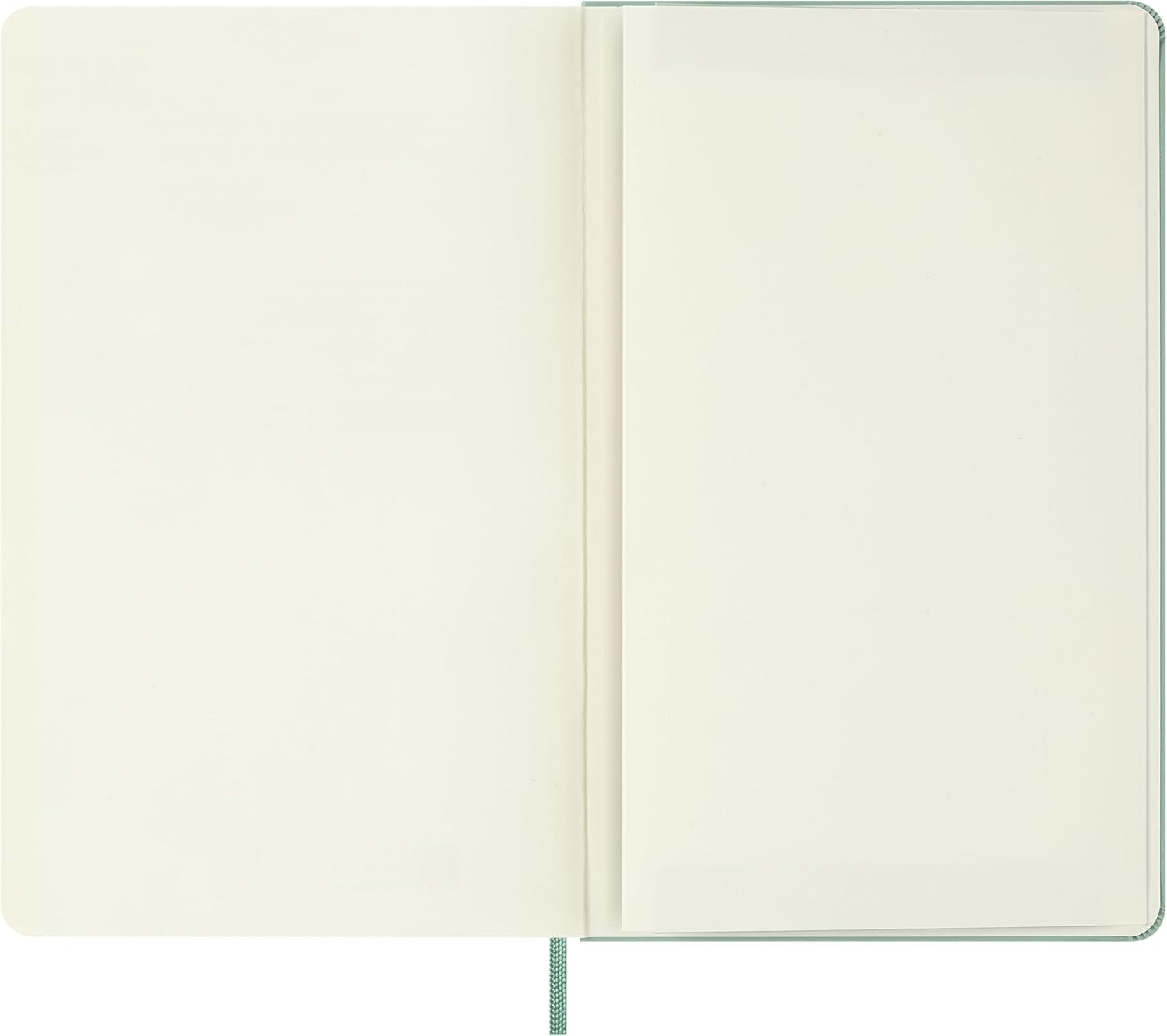 Moleskine Classic Notebook - Blank Pages with Hard Cover and Elastic Closure, Sage Green Color, Large Size 13 x 21 cm