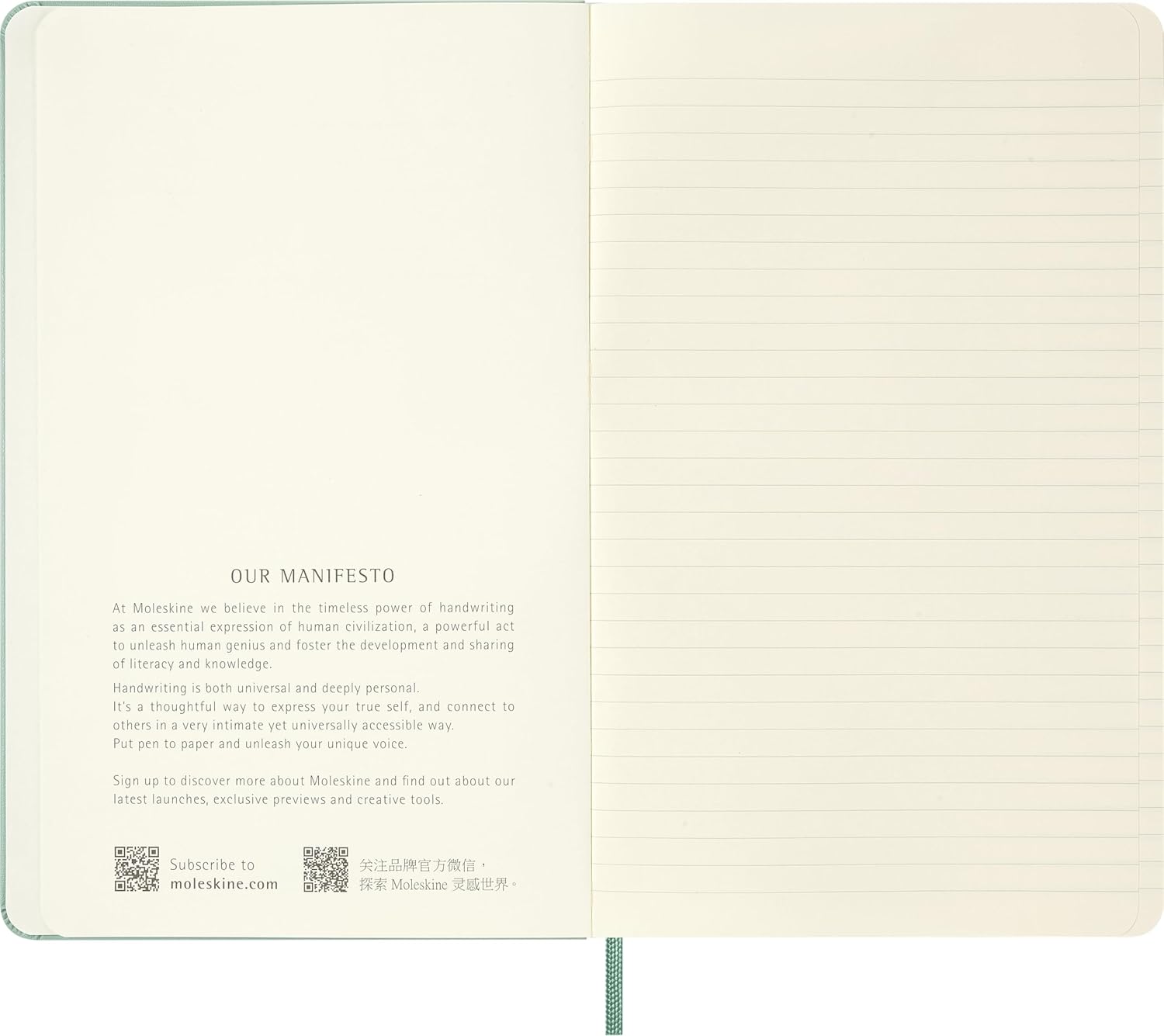 Moleskine Classic Ruled Notebook, With Hard Cover and Elastic Closure, Sage Green, Large Format 13 x 21 cm