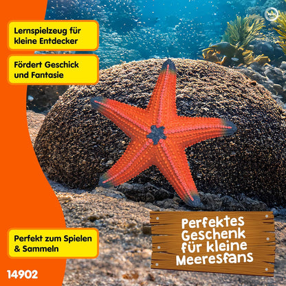 schleich WILD LIFE | Seestern mit Farbwechsel 14902 | detaillierte Tierfigur & Sammelfigur | Zoo Spielzeug | Geschenk für Jungen & Mädchen | Deko für Geburtstag | Spielfigur ab 3 Jahren | 7 x 7 x 2 cm