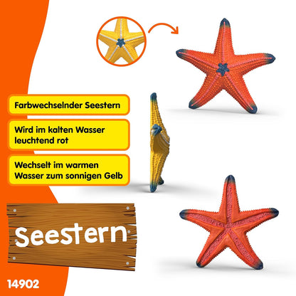 schleich WILD LIFE | Seestern mit Farbwechsel 14902 | detaillierte Tierfigur & Sammelfigur | Zoo Spielzeug | Geschenk für Jungen & Mädchen | Deko für Geburtstag | Spielfigur ab 3 Jahren | 7 x 7 x 2 cm