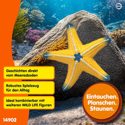 schleich WILD LIFE | Seestern mit Farbwechsel 14902 | detaillierte Tierfigur & Sammelfigur | Zoo Spielzeug | Geschenk für Jungen & Mädchen | Deko für Geburtstag | Spielfigur ab 3 Jahren | 7 x 7 x 2 cm