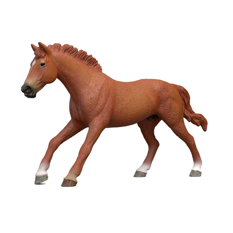 schleich HORSE CLUB | Engelse volbloedhengst 14915