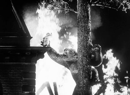 Panik um King Kong (Mighty Joe Young) (Filmjuwelen