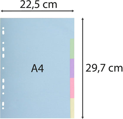 Exacompta - Ref 1605E - Forever Collection - 5-Part Plain Dividers, Suitable for A4 Documents, 100% Recycled 170gsm Card, Pre-Punched - Assorted Pastel Colours