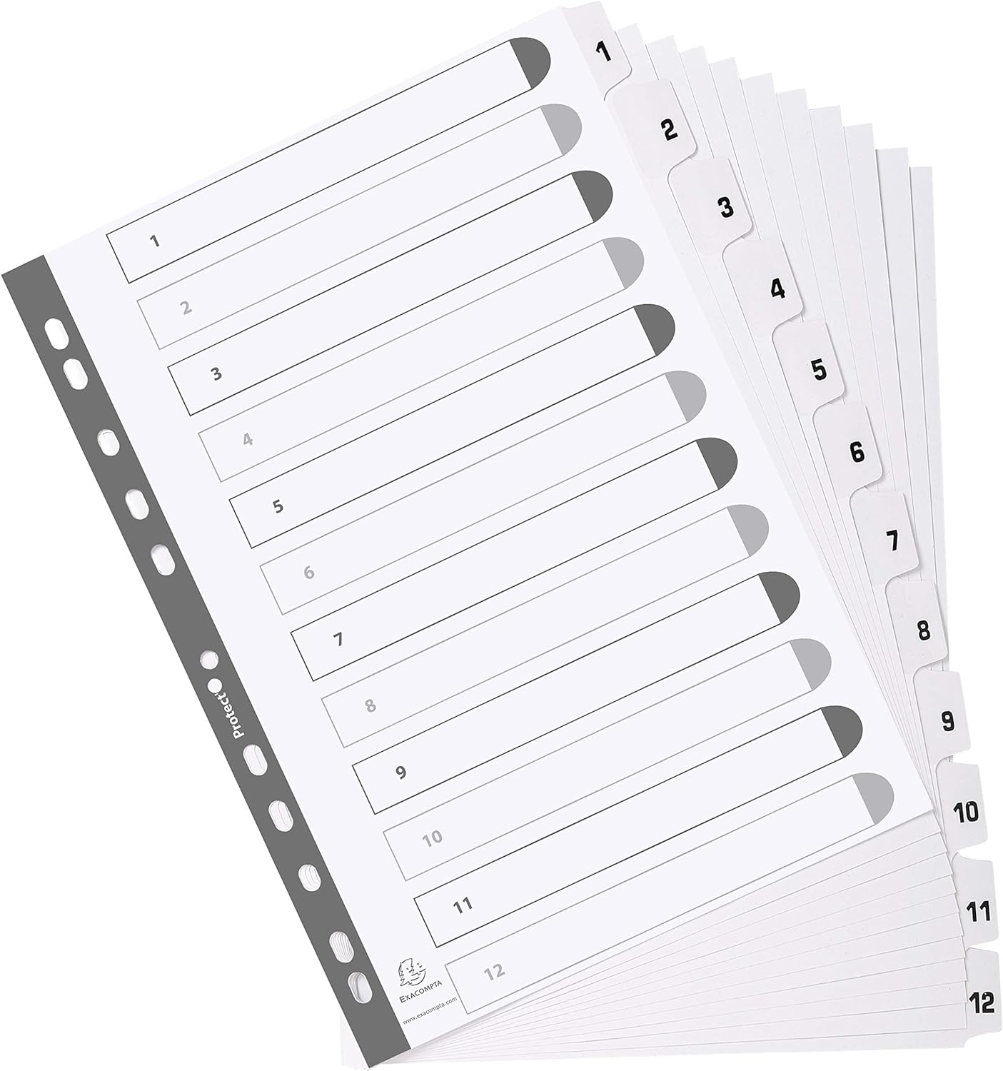 Exacompta - Ref MWD1-12Z - Mylar Printed Indices - For Use WithA4 Documents, Pre-Punched, 160gsm White Card with Reinforced Plastic Tabs, FSC-Certified - 12-Part Dividers (1-12