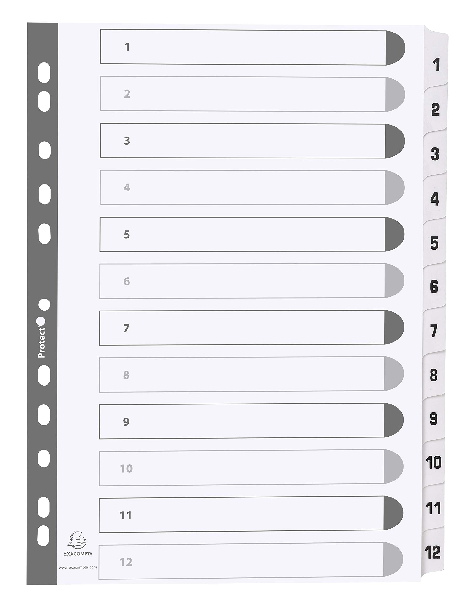 Exacompta - Ref MWD1-12Z - Mylar Printed Indices - For Use WithA4 Documents, Pre-Punched, 160gsm White Card with Reinforced Plastic Tabs, FSC-Certified - 12-Part Dividers (1-12
