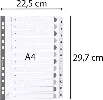 Exacompta - Ref MWD1-12Z - Mylar Printed Indices - For Use WithA4 Documents, Pre-Punched, 160gsm White Card with Reinforced Plastic Tabs, FSC-Certified - 12-Part Dividers (1-12
