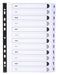 Exacompta - Ref MWDJ-DZ - Mylar Printed Indices - For Use WithA4 Documents, Pre-Punched, 160gsm White Card with Reinforced Plastic Tabs, FSC-Certified - 12-Part Dividers (Jan-Dec