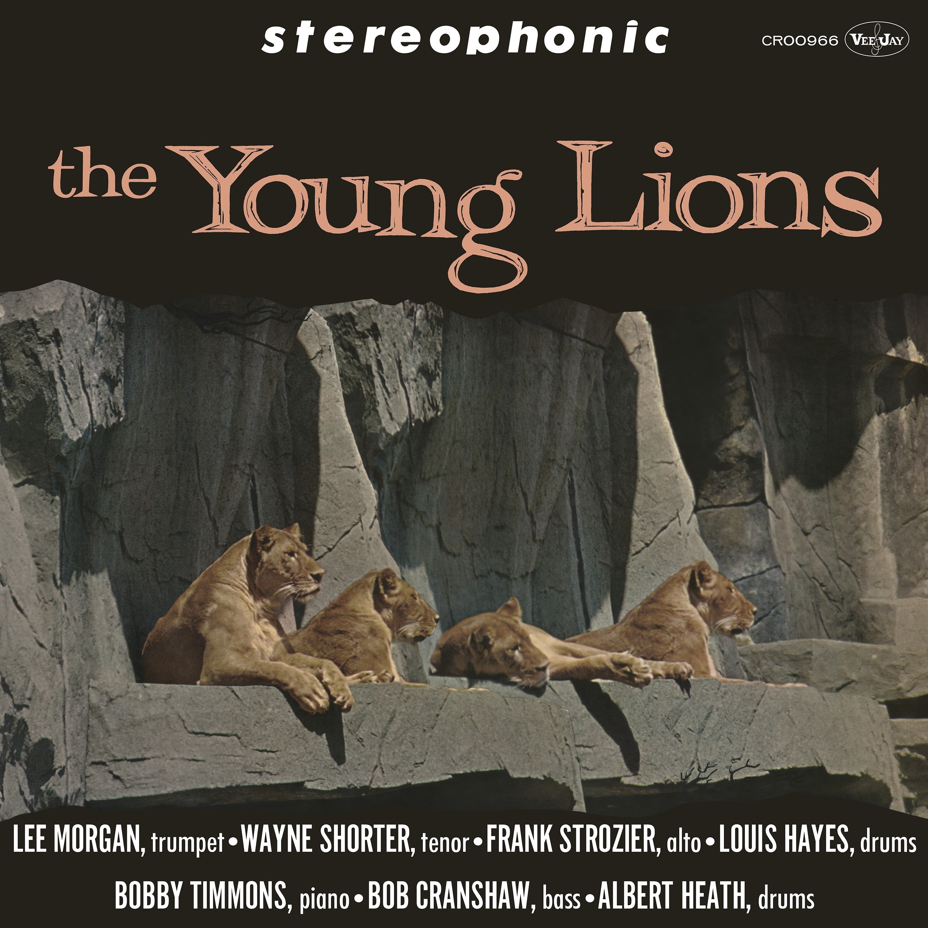 The Young Lions