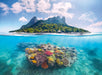 Erwachsenenpuzzle 500 Teile - Insel und Korallenwelt