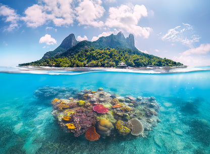 Erwachsenenpuzzle 500 Teile - Insel und Korallenwelt