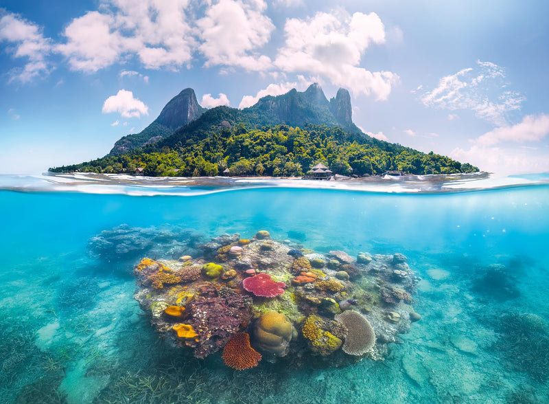 Erwachsenenpuzzle 500 Teile - Insel und Korallenwelt