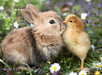 Ravensburger - 500 piece puzzle - Rabbit and Chick (Baby Animal Collection) - Adults and Children from 12 years old - High quality puzzle - 12001900