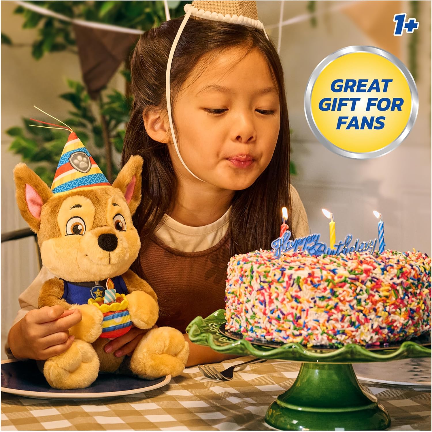 Paw Patrol Birthday Chase