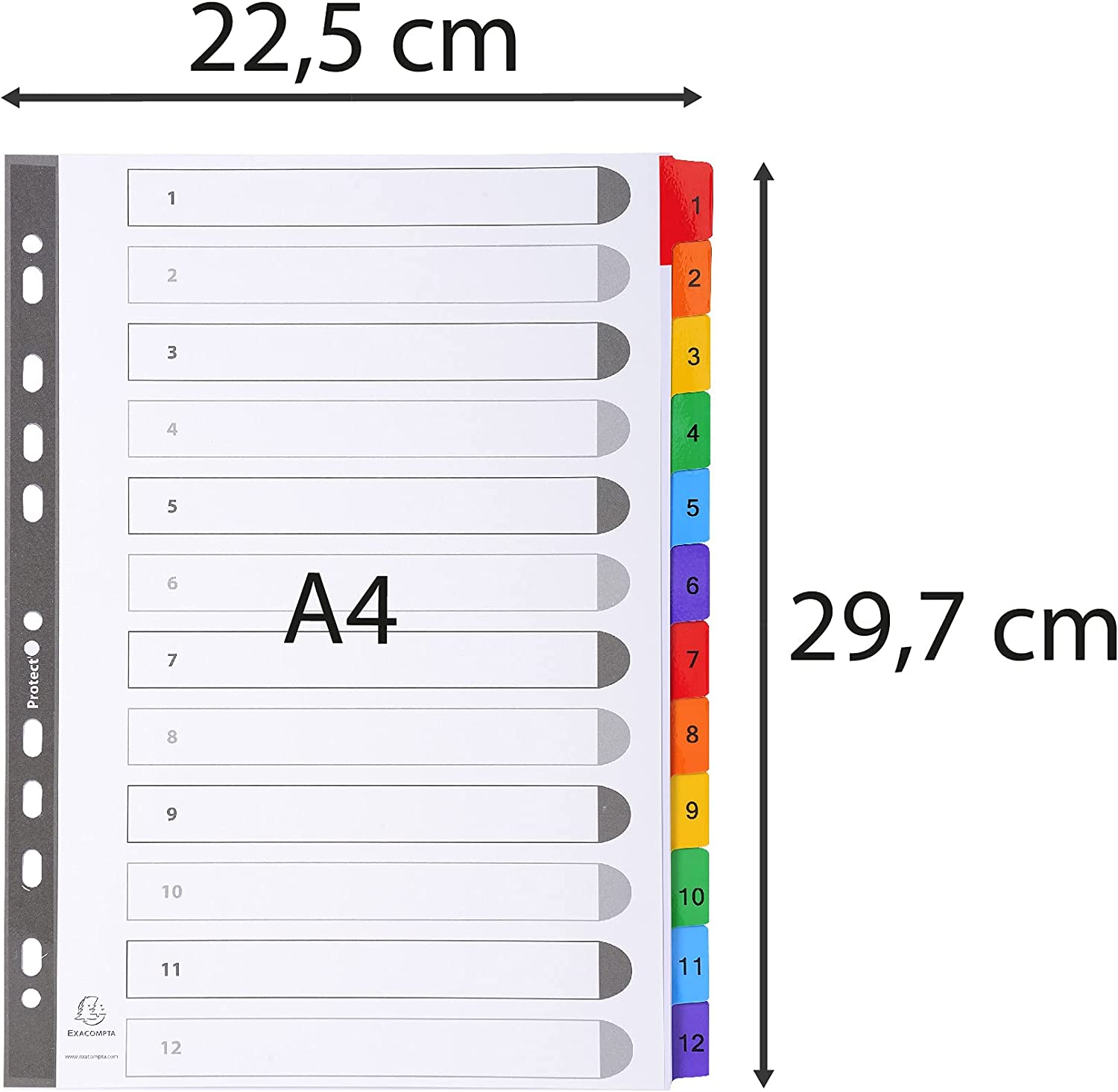 Exacompta - Ref 1112E - Mylar Printed Indices - for Use WithA4 Documents, Pre-Punched, 160gsm White Card with Reinforced Plastic Tabs, FSC-Certified - 12-Part Dividers (1-12