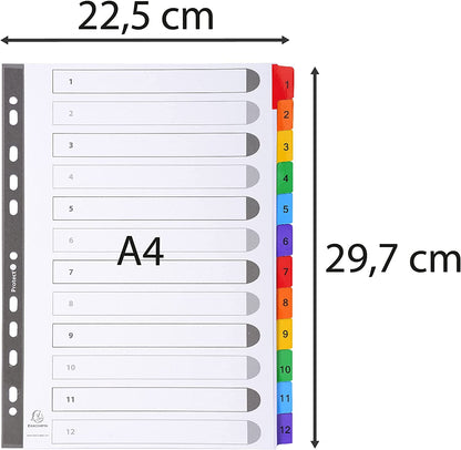 Exacompta - Ref 1112E - Mylar Printed Indices - for Use WithA4 Documents, Pre-Punched, 160gsm White Card with Reinforced Plastic Tabs, FSC-Certified - 12-Part Dividers (1-12