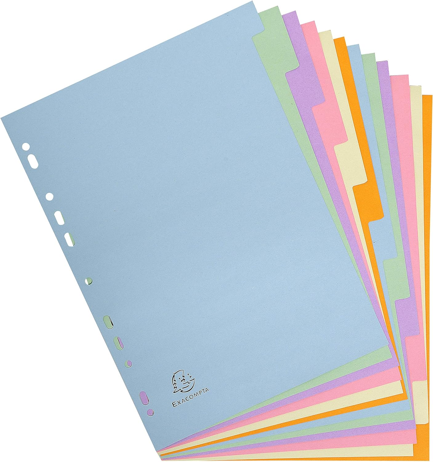 Exacompta Forever 1612E A4 12 Part Plain Dividers - Multi-Coloured (1 Pack of 12