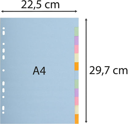 Exacompta Forever 1612E A4 12 Part Plain Dividers - Multi-Coloured (1 Pack of 12