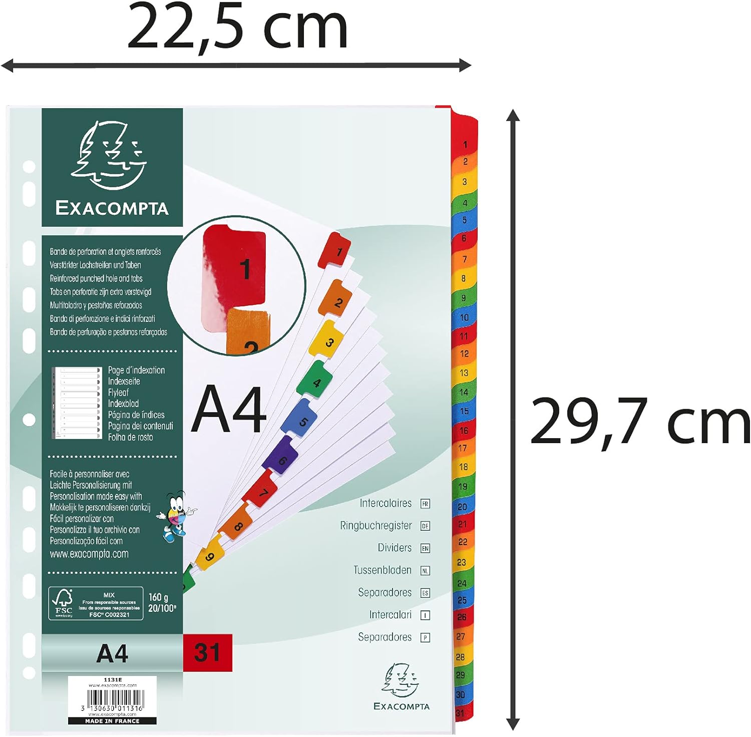 Exacompta - Ref 1131E - Printed Indices - Suitable for A4 Documents, Pre-Punched for Lever Arch Files & Binders, 31 Part (Sections 1-31), FSC-Certified - White with Multicoloured Tabs