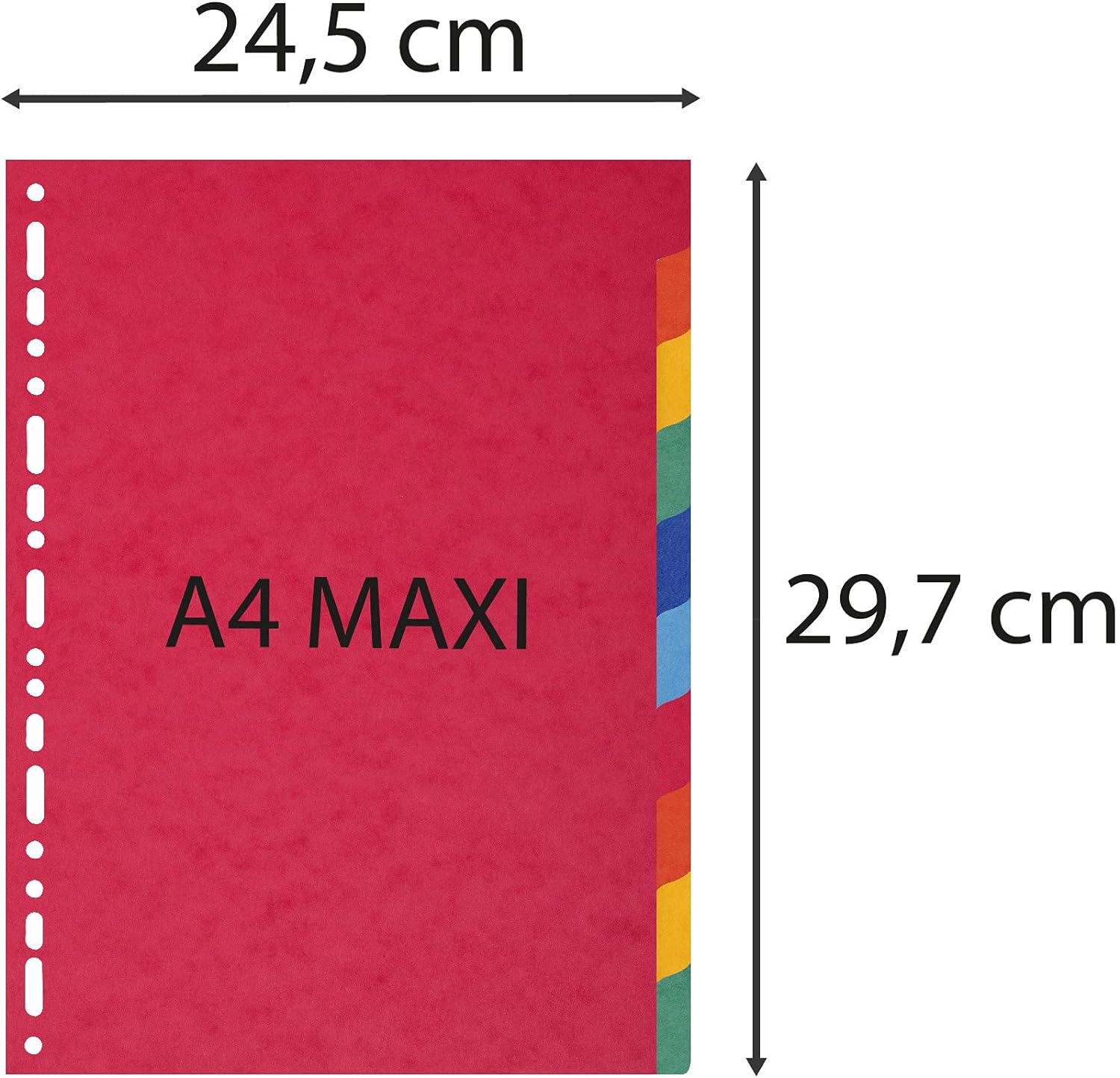 Exacompta - Ref 2110E - Forever Collection - 100% Recycled Dividers - Suitable for A4+ Documents, 220gsm 100% Recycled Card, 10 Position - Multicoloured (Pack of 2