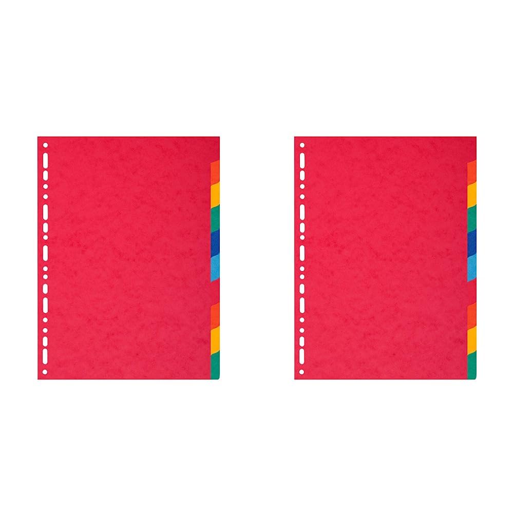 Exacompta - Ref 2110E - Forever Collection - 100% Recycled Dividers - Suitable for A4+ Documents, 220gsm 100% Recycled Card, 10 Position - Multicoloured (Pack of 2