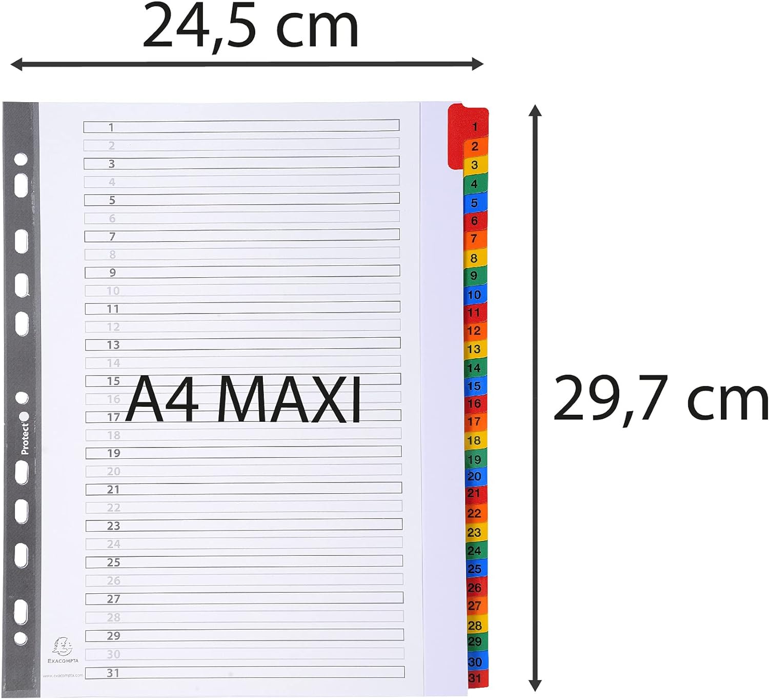Exacompta - Ref 4131E - Mylar Printed Indices - For Use With A4+ Documents, Pre-Punched, 160gsm White Card with Reinforced Plastic Tabs, FSC-Certified - 31-Part Dividers (1-31) A4+ 31 Part