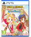 Story of Seasons: Grand Bazaar - PS5 PlayStation 5 Standard Edition