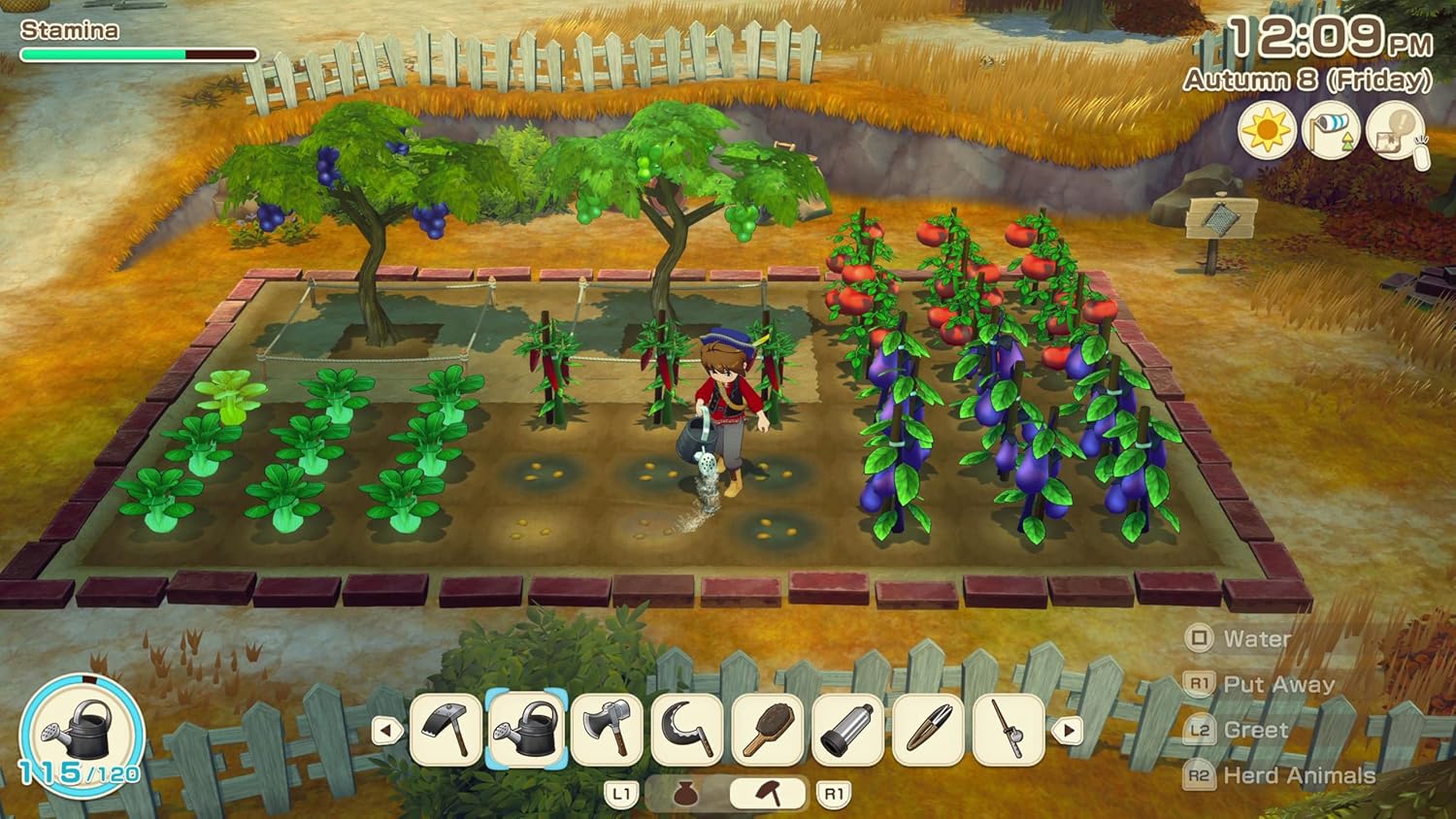 Story of Seasons: Grand Bazaar - PS5 PlayStation 5 Standard Edition