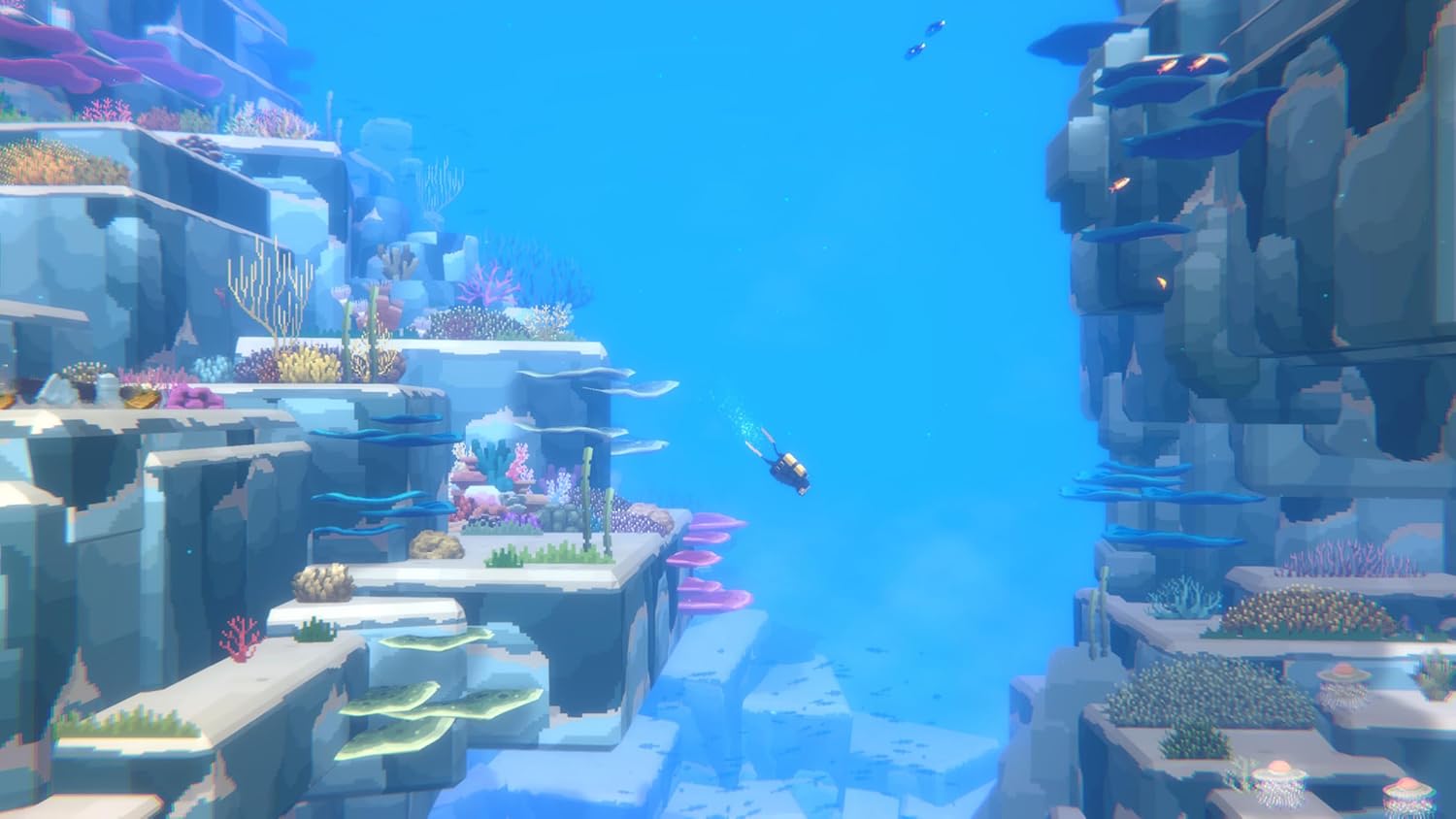 Dave the Diver Collector's Edition (Nintendo Switch 2) Nintendo Switch 2 Collectors Edition