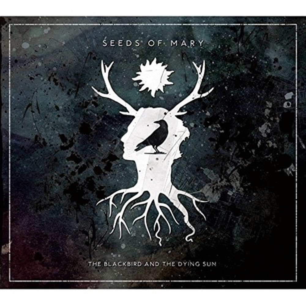 Blackbird and The Dying Sun