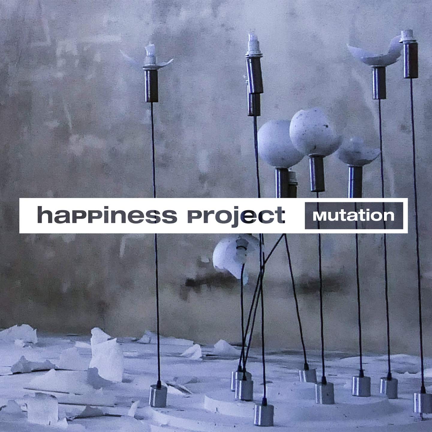 Mutation