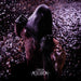 Acheron