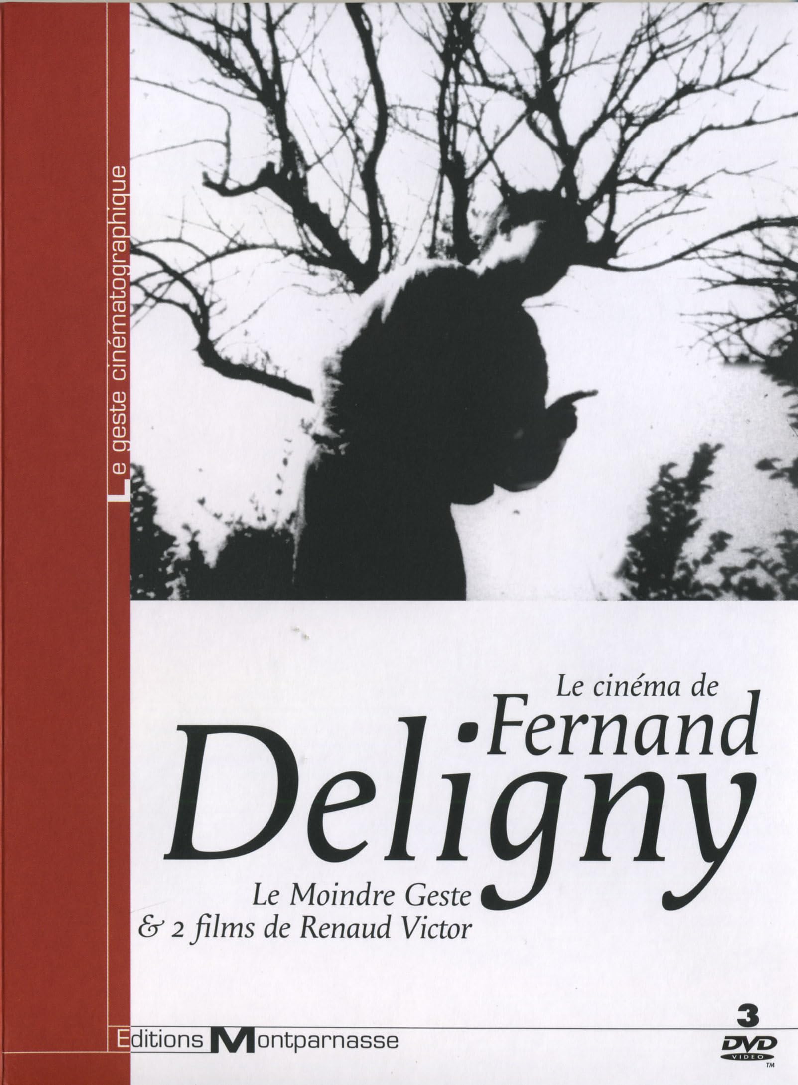Le cinema de fernand deligny