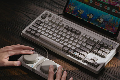 8Bitdo Retro Mechanical Keyboard, Bluetooth/2.4G/USB-C Hot Swappable Gaming Keyboard with 87 Keys, Dual Super Programmable Buttons for Windows and Android - M Edition - QWERTY ANSI US Layout