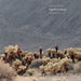 Signal to Noise, Volume II
